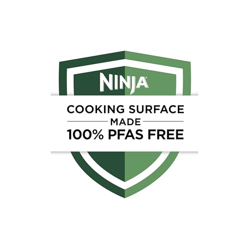 Ninja Pro XL 6-in-1 Air Fryer, 6.5-Quart Large Capacity with Max Crisp Technology