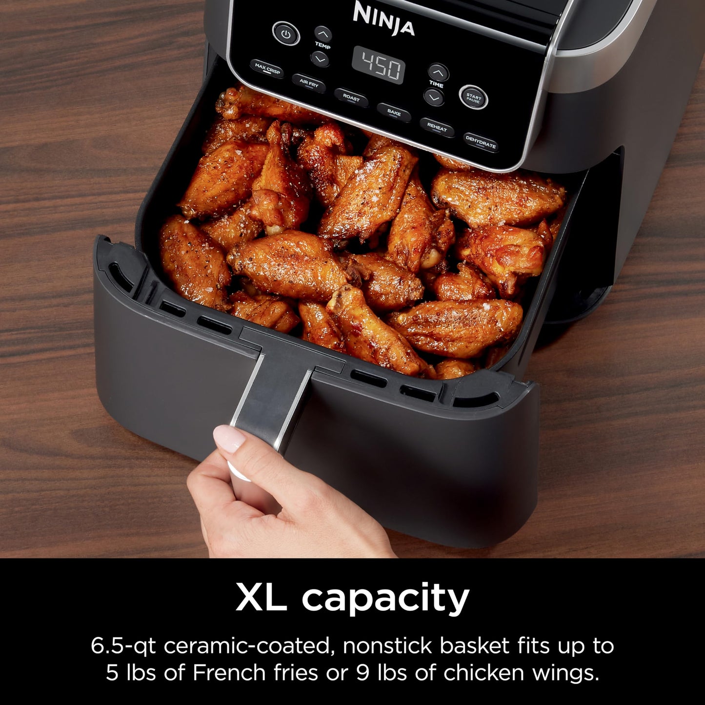 Ninja Pro XL 6-in-1 Air Fryer, 6.5-Quart Large Capacity with Max Crisp Technology